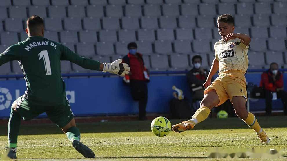 荷甲直播在线观看高清-开云